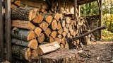 Quel est le meilleur bois de chauffage​ ? Classement & Guide